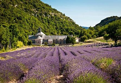 Fototapeta Provence Francie 24028